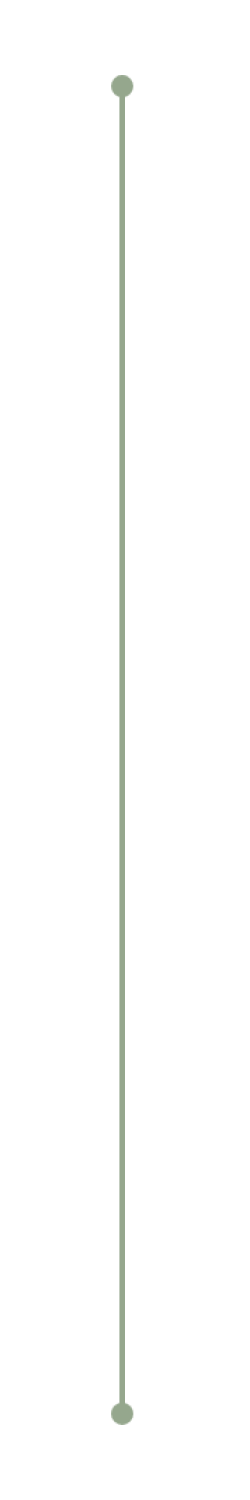 dot line dot line